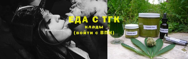 дмт Богородицк