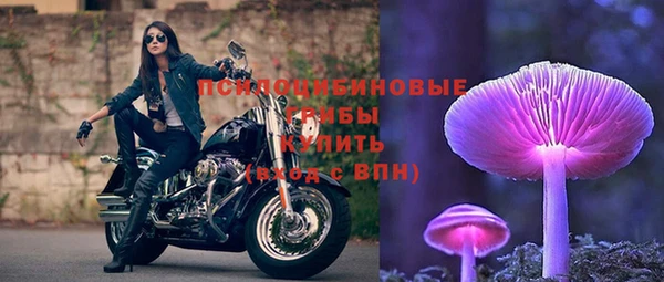 герыч Бородино